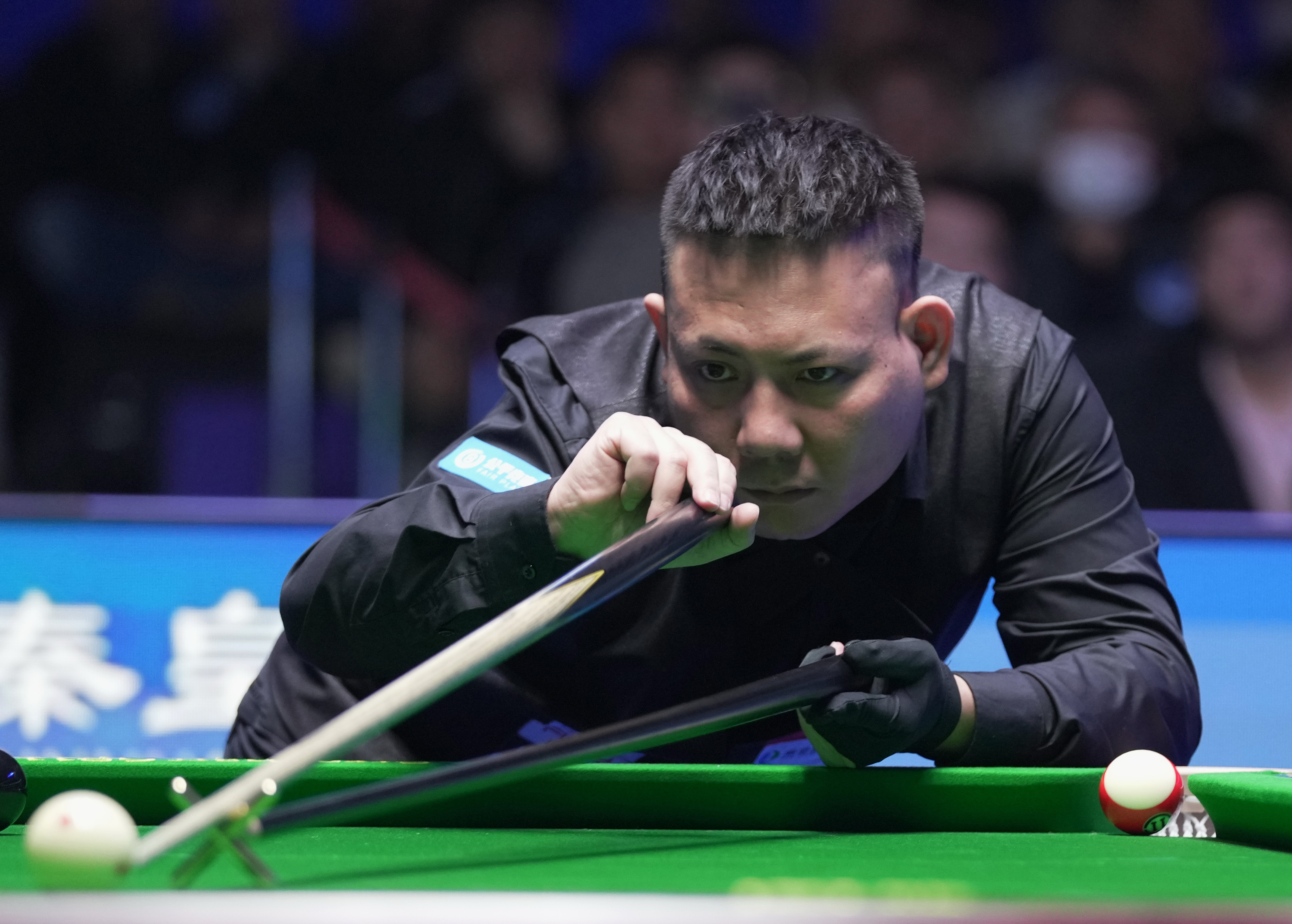 的贡献却不 的贡献却不